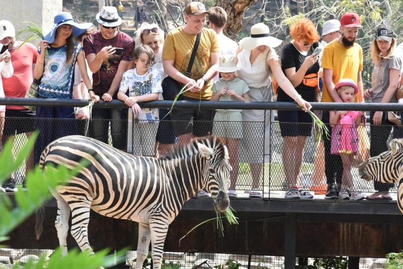 alpaca hill, bonanza exotic zoo, huahin safari & adventure park, korat zoo, pattaya sheep farm, safari park, safari world, sriayuthaya lion park, tiger park, ซาฟารี, ซาฟารี ปาร์ค, ซาฟารีกาญจนบุรี, ซาฟารีปาร์ค แอนด์ แคมป์, ซาฟารีเวิลด์, ฟาร์มแกะพัทยา, ศรีอยุธยา ไลอ้อนปาร์ค, สวนสัตว์, สวนสัตว์ 2024, สวนสัตว์ 2567, สวนสัตว์นครราชสีมา, สวนสัตว์ราชบุรี, สวนสัตว์อยุธยา, สวนสัตว์เปิด, สวนสัตว์เปิดเขาเขียว, สวนสัตว์โคราช, สวนสัตว์โบนันซ่า, สวนสัตว์ใกล้กทม., สวนสัตว์ใกล้กรุงเทพ, สวนสัตว์ใกล้กรุงเทพ 2024, สวนสัตว์ใกล้กรุงเทพ 2567, สวนเสือ, สวนเสือพัทยา, หัวหินซาฟารี, อัลปาก้าฮิลล์, เที่ยวสวนสัตว์, เที่ยวสวนสัตว์ 2024, เที่ยวสวนสัตว์ 2567, top 10+ สวนสัตว์ใกล้กรุงเทพ [กรกฎาคม 2024] สนุก เพลิดเพลินได้ทุกวัย ผจญภัยไปกับเหล่าสัตว์ป่า