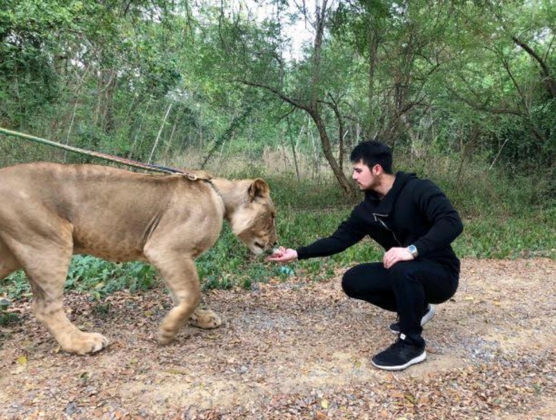 alpaca hill, bonanza exotic zoo, huahin safari & adventure park, korat zoo, pattaya sheep farm, safari park, safari world, sriayuthaya lion park, tiger park, ซาฟารี, ซาฟารี ปาร์ค, ซาฟารีกาญจนบุรี, ซาฟารีปาร์ค แอนด์ แคมป์, ซาฟารีเวิลด์, ฟาร์มแกะพัทยา, ศรีอยุธยา ไลอ้อนปาร์ค, สวนสัตว์, สวนสัตว์ 2024, สวนสัตว์ 2567, สวนสัตว์นครราชสีมา, สวนสัตว์ราชบุรี, สวนสัตว์อยุธยา, สวนสัตว์เปิด, สวนสัตว์เปิดเขาเขียว, สวนสัตว์โคราช, สวนสัตว์โบนันซ่า, สวนสัตว์ใกล้กทม., สวนสัตว์ใกล้กรุงเทพ, สวนสัตว์ใกล้กรุงเทพ 2024, สวนสัตว์ใกล้กรุงเทพ 2567, สวนเสือ, สวนเสือพัทยา, หัวหินซาฟารี, อัลปาก้าฮิลล์, เที่ยวสวนสัตว์, เที่ยวสวนสัตว์ 2024, เที่ยวสวนสัตว์ 2567, top 10+ สวนสัตว์ใกล้กรุงเทพ [กรกฎาคม 2024] สนุก เพลิดเพลินได้ทุกวัย ผจญภัยไปกับเหล่าสัตว์ป่า