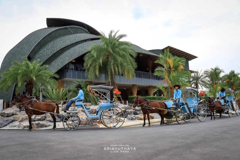 alpaca hill, bonanza exotic zoo, huahin safari & adventure park, korat zoo, pattaya sheep farm, safari park, safari world, sriayuthaya lion park, tiger park, ซาฟารี, ซาฟารี ปาร์ค, ซาฟารีกาญจนบุรี, ซาฟารีปาร์ค แอนด์ แคมป์, ซาฟารีเวิลด์, ฟาร์มแกะพัทยา, ศรีอยุธยา ไลอ้อนปาร์ค, สวนสัตว์, สวนสัตว์ 2024, สวนสัตว์ 2567, สวนสัตว์นครราชสีมา, สวนสัตว์ราชบุรี, สวนสัตว์อยุธยา, สวนสัตว์เปิด, สวนสัตว์เปิดเขาเขียว, สวนสัตว์โคราช, สวนสัตว์โบนันซ่า, สวนสัตว์ใกล้กทม., สวนสัตว์ใกล้กรุงเทพ, สวนสัตว์ใกล้กรุงเทพ 2024, สวนสัตว์ใกล้กรุงเทพ 2567, สวนเสือ, สวนเสือพัทยา, หัวหินซาฟารี, อัลปาก้าฮิลล์, เที่ยวสวนสัตว์, เที่ยวสวนสัตว์ 2024, เที่ยวสวนสัตว์ 2567, top 10+ สวนสัตว์ใกล้กรุงเทพ [กรกฎาคม 2024] สนุก เพลิดเพลินได้ทุกวัย ผจญภัยไปกับเหล่าสัตว์ป่า