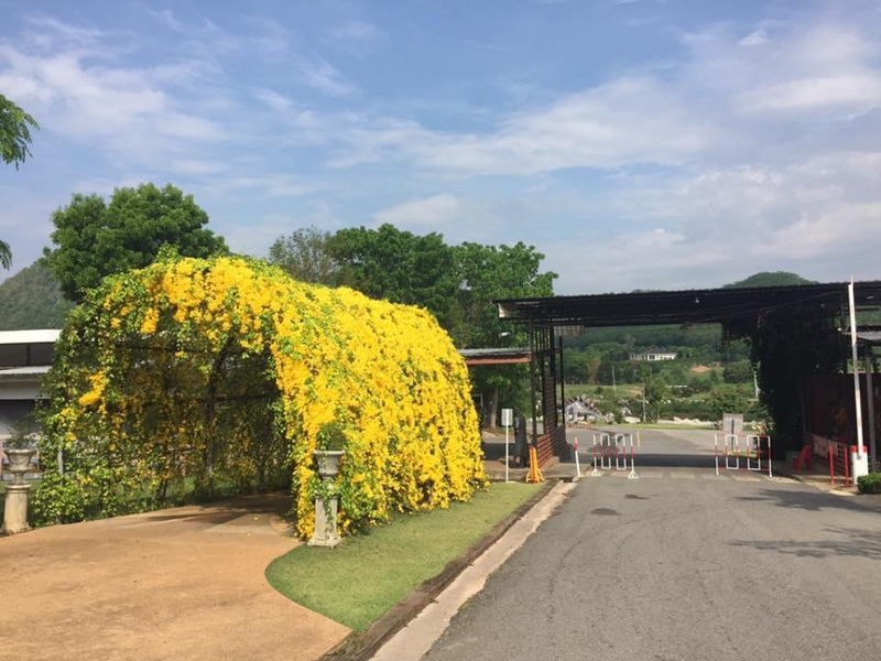 alpaca hill, bonanza exotic zoo, huahin safari & adventure park, korat zoo, pattaya sheep farm, safari park, safari world, sriayuthaya lion park, tiger park, ซาฟารี, ซาฟารี ปาร์ค, ซาฟารีกาญจนบุรี, ซาฟารีปาร์ค แอนด์ แคมป์, ซาฟารีเวิลด์, ฟาร์มแกะพัทยา, ศรีอยุธยา ไลอ้อนปาร์ค, สวนสัตว์, สวนสัตว์ 2024, สวนสัตว์ 2567, สวนสัตว์นครราชสีมา, สวนสัตว์ราชบุรี, สวนสัตว์อยุธยา, สวนสัตว์เปิด, สวนสัตว์เปิดเขาเขียว, สวนสัตว์โคราช, สวนสัตว์โบนันซ่า, สวนสัตว์ใกล้กทม., สวนสัตว์ใกล้กรุงเทพ, สวนสัตว์ใกล้กรุงเทพ 2024, สวนสัตว์ใกล้กรุงเทพ 2567, สวนเสือ, สวนเสือพัทยา, หัวหินซาฟารี, อัลปาก้าฮิลล์, เที่ยวสวนสัตว์, เที่ยวสวนสัตว์ 2024, เที่ยวสวนสัตว์ 2567, top 10+ สวนสัตว์ใกล้กรุงเทพ [กรกฎาคม 2024] สนุก เพลิดเพลินได้ทุกวัย ผจญภัยไปกับเหล่าสัตว์ป่า