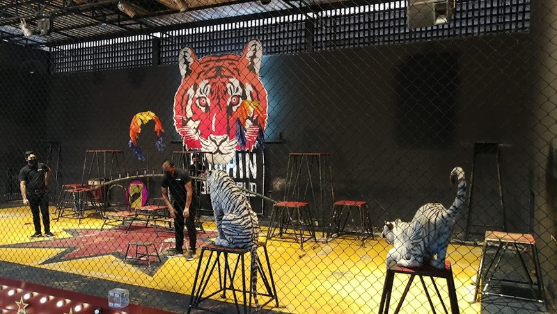 alpaca hill, bonanza exotic zoo, huahin safari & adventure park, korat zoo, pattaya sheep farm, safari park, safari world, sriayuthaya lion park, tiger park, ซาฟารี, ซาฟารี ปาร์ค, ซาฟารีกาญจนบุรี, ซาฟารีปาร์ค แอนด์ แคมป์, ซาฟารีเวิลด์, ฟาร์มแกะพัทยา, ศรีอยุธยา ไลอ้อนปาร์ค, สวนสัตว์, สวนสัตว์ 2024, สวนสัตว์ 2567, สวนสัตว์นครราชสีมา, สวนสัตว์ราชบุรี, สวนสัตว์อยุธยา, สวนสัตว์เปิด, สวนสัตว์เปิดเขาเขียว, สวนสัตว์โคราช, สวนสัตว์โบนันซ่า, สวนสัตว์ใกล้กทม., สวนสัตว์ใกล้กรุงเทพ, สวนสัตว์ใกล้กรุงเทพ 2024, สวนสัตว์ใกล้กรุงเทพ 2567, สวนเสือ, สวนเสือพัทยา, หัวหินซาฟารี, อัลปาก้าฮิลล์, เที่ยวสวนสัตว์, เที่ยวสวนสัตว์ 2024, เที่ยวสวนสัตว์ 2567, top 10+ สวนสัตว์ใกล้กรุงเทพ [กรกฎาคม 2024] สนุก เพลิดเพลินได้ทุกวัย ผจญภัยไปกับเหล่าสัตว์ป่า