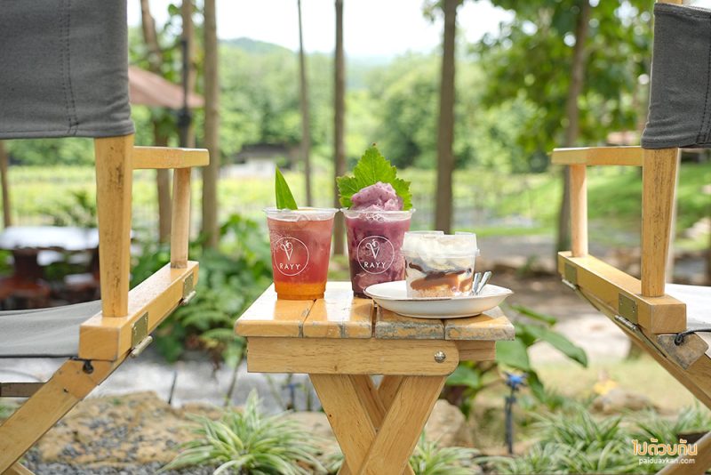 เที่ยวมวกเหล็ก, เที่ยวสระบุรี, rayy  café  มวกเหล็ก คาเฟ่ร่มรื่น กลางป่าสัก