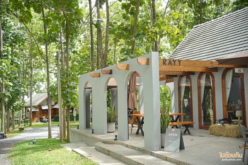 RAYY &nbsp;CAF&Eacute; &nbsp;มวกเหล็ก คาเฟ่ร่มรื่น กลางป่าสัก
