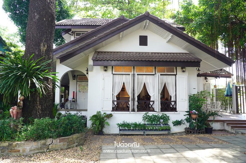 ร้านกาแฟปราจีนบุรี, คาเฟ่ปราจีนบุรี, เที่ยวปราจีนบุรี, ปราจีนบุรี, top 15+ คาเฟ่ ปราจีนบุรี หลบความวุ่นวาย ชาร์จแบตให้ร่างกาย