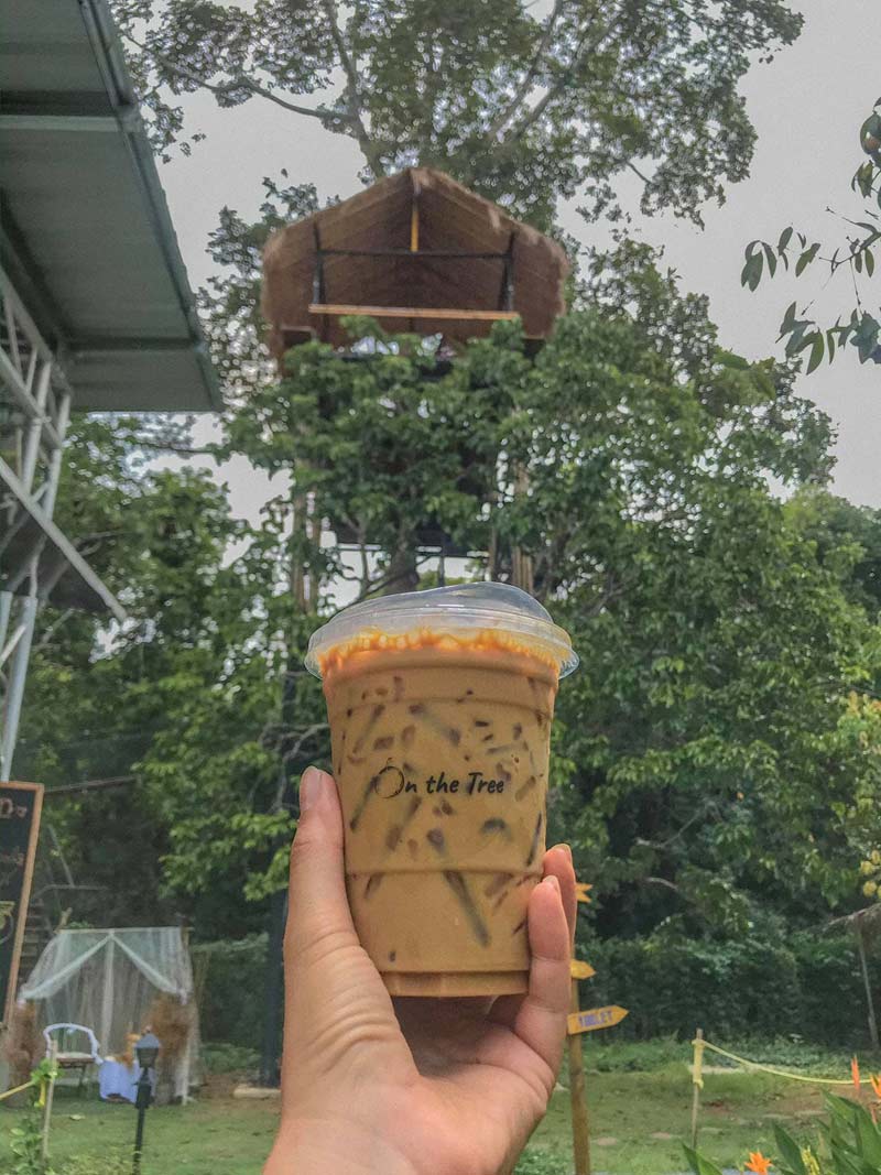 ร้านกาแฟปราจีนบุรี, คาเฟ่ปราจีนบุรี, เที่ยวปราจีนบุรี, ปราจีนบุรี, top 15+ คาเฟ่ ปราจีนบุรี หลบความวุ่นวาย ชาร์จแบตให้ร่างกาย