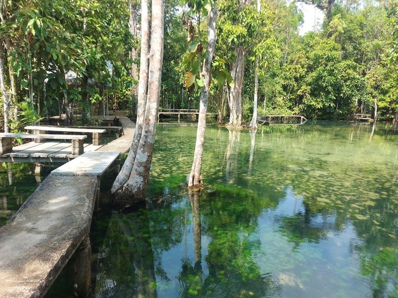 day & night, day & night cafe, day & night of surat thani, กุ้ยหลินเมืองไทย, คลองร้อยสาย, ตลาดน้ำประชารัฐบางใบไม้, ถ้ำขมิ้น, ทะเลแหวก, ทะเลแหวก สุราษฎร์ธานี, ที่เที่ยว สุราษฎร์ธานี, ที่เที่ยวสมุย, ที่เที่ยวสุราษฎร์, ที่เที่ยวสุราษฎร์ 2024, ที่เที่ยวสุราษฎร์ 2567, ที่เที่ยวสุราษฎร์ธานี 2024, ที่เที่ยวสุราษฎร์ธานี 2567, ที่เที่ยวสุราษฎร์ธานี ทะเล, ที่เที่ยวสุราษฎร์ธานี เกาะ, น้ำตกดาดฟ้า, น้ำตกหน้าเมือง, ป่าต้นน้ำบ้านน้ำราด, พระธาตุศิลางู, พระบรมธาตุไชยา, ราฮัม บีชคลับ, วัดพระธาตุศิลางู, วัดพระบรมธาตุไชยา, วัดพระบรมธาตุไชยาราชวรวิหาร, วัดพระใหญ่, วัดราชธรรมาราม, ศาลหลักเมืองสุราษฎร์ธานี, สมุย, สะพานแขวนเขาพัง, สะพานแขวนเขาเทพพิทักษ์, สุราษฎร์, สุราษฎร์ธานี 2023, หมู่เกาะอ่างทอง, หาดเฉวง, อ่างน้ำผุด, อ่างน้ำผุด บางสวรรค์, อุทยานธรรมเขานาในหลวง, อุทยานแห่งชาติหมู่เกาะอ่างทอง, อุทยานแห่งชาติใต้ร่มเย็น, อุโมงค์ต้นจาก คลองร้อยสาย, เกาะนางยวน, เกาะพะงัน, เกาะมัดสุ่ม, เกาะราฮัม, เกาะวัวตาหลับ, เกาะสมุย, เกาะหมู, เกาะหมู สมุย, เกาะเต่า, เกาะแตน, เกาะแม่เกาะ, เขารูปหัวใจ, เขื่อนรัชชประภา, เขื่อนเชี่ยวหลาน, เจดีย์ลอมฟ้าพุทธศิลาวดี, เที่ยวสุราษฎร์, เที่ยวสุราษฎร์ธานี, เนินทรายเหมืองแกะ, top 20+ ที่เที่ยว สุราษฎร์ธานี [กรกฎาคม 2024] ปาร์ตี้ฟูลมูนสุดเลิศ ทะเลใส แหล่งดำน้ำดูปะการังสวย