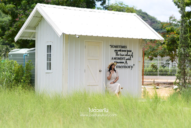 ร้านกาแฟหัวหิน, คาเฟ่หัวหิน, memory house cafe huahin, memory house หัวหิน, ร้านกาแฟทุ่งหญ้าหัวหิน, memory house cafe หัวหิน คาเฟ่ชวนฝัน ท่ามกลางทุ่งหญ้า