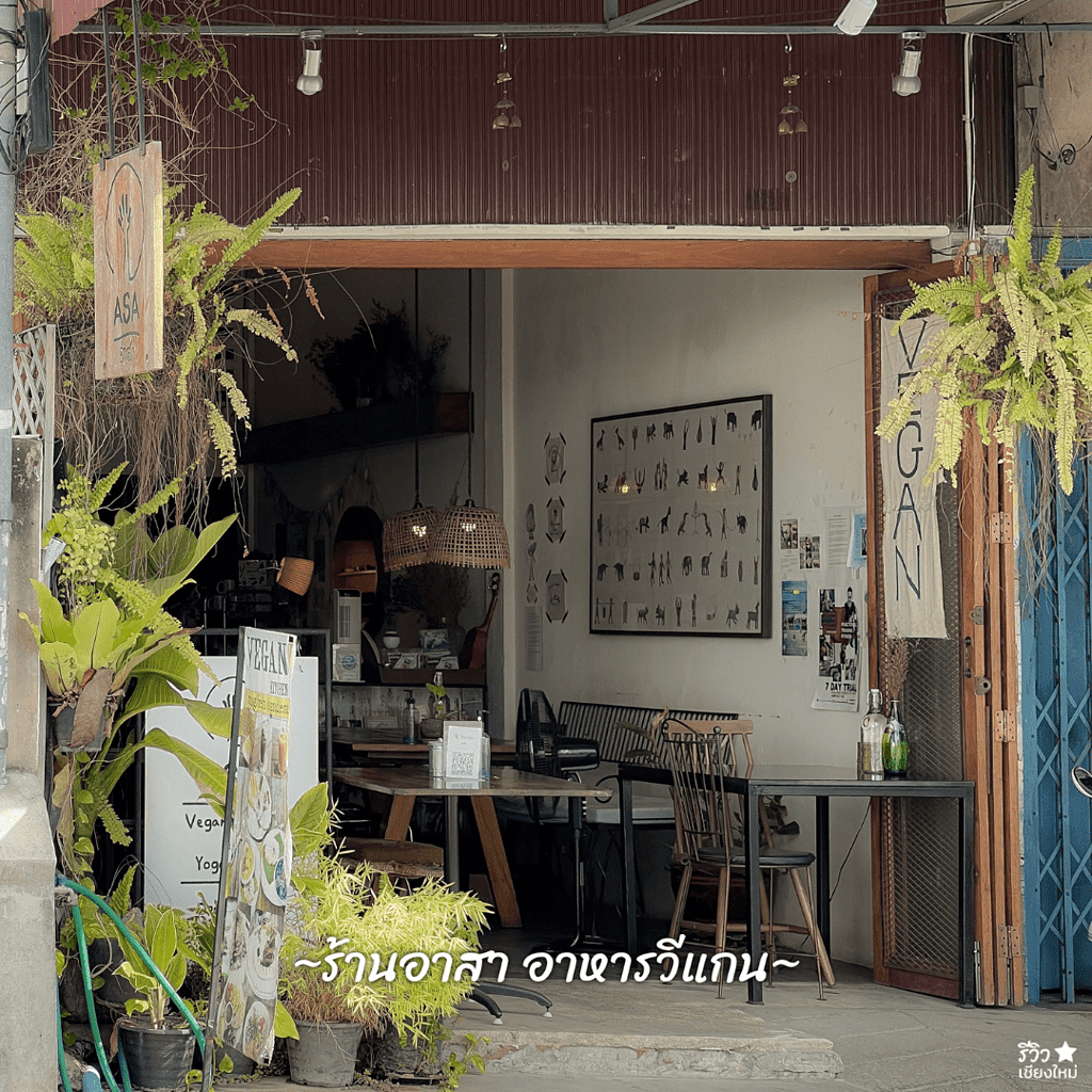 reviewchaingmai, ถนนท่าแพ, ที่เที่ยว เชียงใหม่, เดินเล่น เชียงใหม่, เดินเล่นดู ตึกเก่า ย่านท่าแพ เชียงใหม่ ถ่ายรูปชิคๆ บรรยากาศฟีลกู๊ด