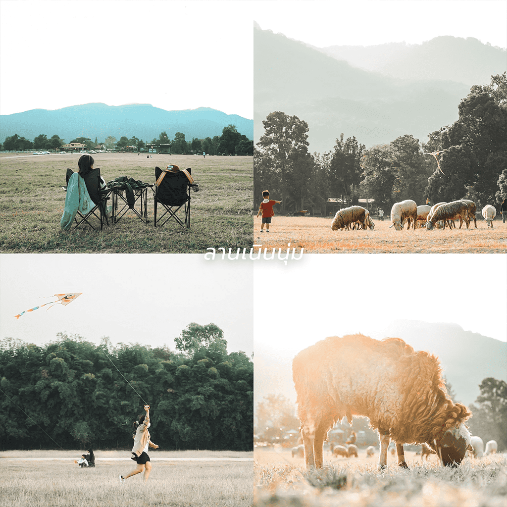 reviewchaingmai, slow life, คนโสด, ที่เที่ยว เชียงใหม่, ที่เที่ยวเชียงใหม่, เที่ยวคนเดียว, รวมทริปคนโสด ไปคนเดียวเที่ยวแบบ slow life ในเชียงใหม่