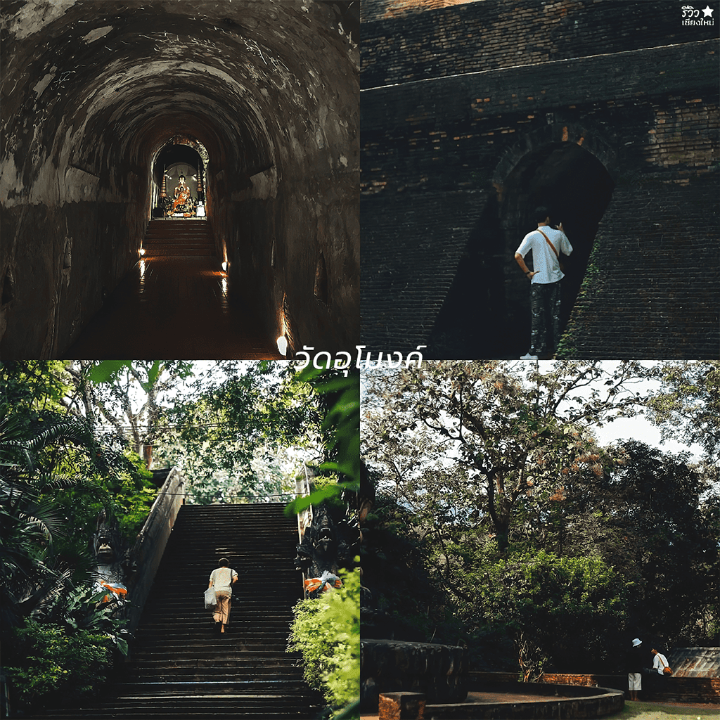 รวมทริปคนโสด ไปคนเดียวเที่ยวแบบ Slow Life ในเชียงใหม่