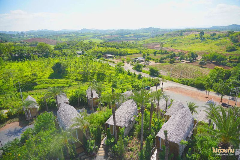 ที่พักเขาใหญ่, เที่ยวเขาใหญ่, คาเฟ่เขาใหญ่, the pandora camp เขาใหญ่, the pandora camp เขาใหญ่ ที่พัก คาเฟ่ตีมแวร์ซายสุดอลังการ