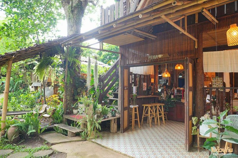 แม่แจ่ม, คาเฟ่แม่แจ่ม, pema cafe คาเฟ่แม่แจ่ม ในบ้านไม้สุดโฮมมี่
