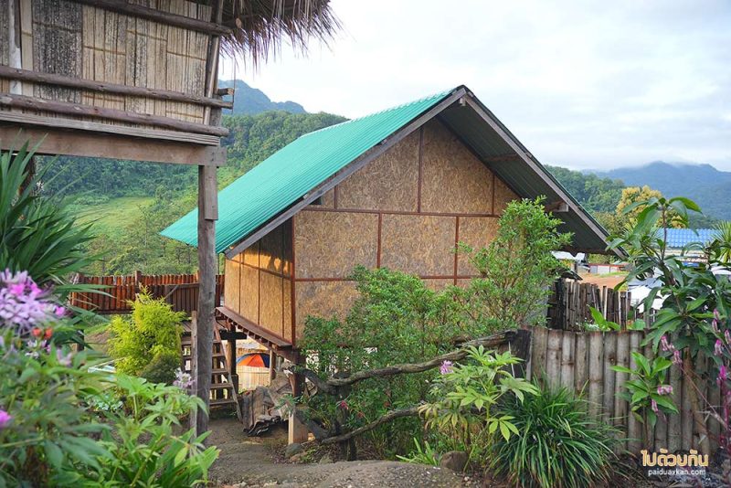 เที่ยวเชียงดาว, บ้านสายหมอก เชียงดาว, ที่พักบ้านนาเลา, บ้านระเบียงดาว, ชมหมอก เคียงดอยหลวง @บ้านสายหมอก