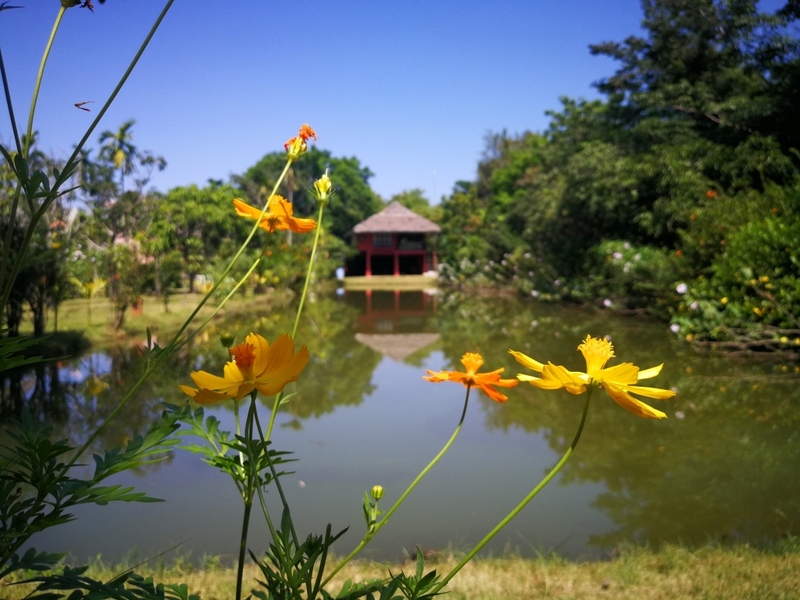 mini murrah farm, minizoo, sea walk, คุ้มวิมานดิน, ฉะเชิงเทรา, ฉะเชิงเทรา 2566, ตลาด 2 จังหวัด, ตลาดคลองสวน, ตลาดน้ำบางคล้า, ตลาดบ้านใหม่, ตลาดบ้านใหม่ 100 ปี, ตลาดบ้านใหม่ เมืองแปดริ้ว, ตลาดเก่าคลองสวน, ตลาดเก่าคลองสวน 100 ปี, ที่เที่ยวฉะเชิงเทรา, ที่เที่ยวฉะเชิงเทรา 2023, ที่เที่ยวฉะเชิงเทรา 2024, ที่เที่ยวฉะเชิงเทรา 2566, ที่เที่ยวฉะเชิงเทรา 2567, ที่เที่ยวแปดริ้ว, น้ำตกฉะเชิงเทรา, น้ำตกบ่อทราย, บ้านบางพุทรา, บ้านสวนเมล่อน, ปั้นดินเหนียวฉะเชิงเทรา, พระมหาเจดีย์สแตนเลส, พระอุโบสถแก้วกลางน้ำ, ฟาร์มนก ฉะเชิงเทรา, มินิมูร่าฟาร์ม, รังนกแลนด์ by นกแปดริ้ว, วัดกลางน้ำ, วัดปากน้ำโจ้โล้, วัดป่าเขาล้อม, วัดพระพิฆเนศองค์ใหญ่, วัดวีระโชติธรรมาราม, วัดสมานรัตนาราม, วัดหงษ์ทอง, วัดหลวงพ่อโสธร, วัดหัวสวน, วัดโพรงอากาศ, วัดโสธรวรารามวรวิหาร, สวนปาล์มฟาร์มนก, หลวงพ่อพันปีศรีตะเคียนทอง, หลวงพ่อพุทธโสธร, หลวงพ่อโสธร, องค์พระพิฆเนศปางนอนเสวยสุข, อ่างเก็บน้ำคลองสียัด, อ่างเก็บน้ำเขื่อนระบม, อ่างเก็บน้ำเขื่อนระบมทะเลน้ำจืด, อุโบสถสีทอง, อุโบสถสแตนเลส, ฮอลลีวูดบ้านนา บ้านบางพุทรา, เขื่อนคลองสียัด, เที่ยวฉะเชิงเทรา, เที่ยวฉะเชิงเทรา 2023, เที่ยวฉะเชิงเทรา 2024, เที่ยวฉะเชิงเทรา 2567, เที่ยวแปดริ้ว, แปดริ้ว, top 20+ ที่เที่ยวฉะเชิงเทรา [กรกฎาคม 2024] เที่ยววัด ชมธรรมชาติ เดินตลาด เมืองแปดริ้ว