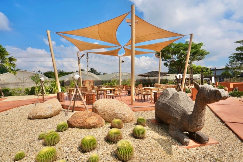 mini murrah farm, minizoo, sea walk, คุ้มวิมานดิน, ฉะเชิงเทรา, ฉะเชิงเทรา 2566, ตลาด 2 จังหวัด, ตลาดคลองสวน, ตลาดน้ำบางคล้า, ตลาดบ้านใหม่, ตลาดบ้านใหม่ 100 ปี, ตลาดบ้านใหม่ เมืองแปดริ้ว, ตลาดเก่าคลองสวน, ตลาดเก่าคลองสวน 100 ปี, ที่เที่ยวฉะเชิงเทรา, ที่เที่ยวฉะเชิงเทรา 2023, ที่เที่ยวฉะเชิงเทรา 2024, ที่เที่ยวฉะเชิงเทรา 2566, ที่เที่ยวฉะเชิงเทรา 2567, ที่เที่ยวแปดริ้ว, น้ำตกฉะเชิงเทรา, น้ำตกบ่อทราย, บ้านบางพุทรา, บ้านสวนเมล่อน, ปั้นดินเหนียวฉะเชิงเทรา, พระมหาเจดีย์สแตนเลส, พระอุโบสถแก้วกลางน้ำ, ฟาร์มนก ฉะเชิงเทรา, มินิมูร่าฟาร์ม, รังนกแลนด์ by นกแปดริ้ว, วัดกลางน้ำ, วัดปากน้ำโจ้โล้, วัดป่าเขาล้อม, วัดพระพิฆเนศองค์ใหญ่, วัดวีระโชติธรรมาราม, วัดสมานรัตนาราม, วัดหงษ์ทอง, วัดหลวงพ่อโสธร, วัดหัวสวน, วัดโพรงอากาศ, วัดโสธรวรารามวรวิหาร, สวนปาล์มฟาร์มนก, หลวงพ่อพันปีศรีตะเคียนทอง, หลวงพ่อพุทธโสธร, หลวงพ่อโสธร, องค์พระพิฆเนศปางนอนเสวยสุข, อ่างเก็บน้ำคลองสียัด, อ่างเก็บน้ำเขื่อนระบม, อ่างเก็บน้ำเขื่อนระบมทะเลน้ำจืด, อุโบสถสีทอง, อุโบสถสแตนเลส, ฮอลลีวูดบ้านนา บ้านบางพุทรา, เขื่อนคลองสียัด, เที่ยวฉะเชิงเทรา, เที่ยวฉะเชิงเทรา 2023, เที่ยวฉะเชิงเทรา 2024, เที่ยวฉะเชิงเทรา 2567, เที่ยวแปดริ้ว, แปดริ้ว, top 20+ ที่เที่ยวฉะเชิงเทรา [กรกฎาคม 2024] เที่ยววัด ชมธรรมชาติ เดินตลาด เมืองแปดริ้ว