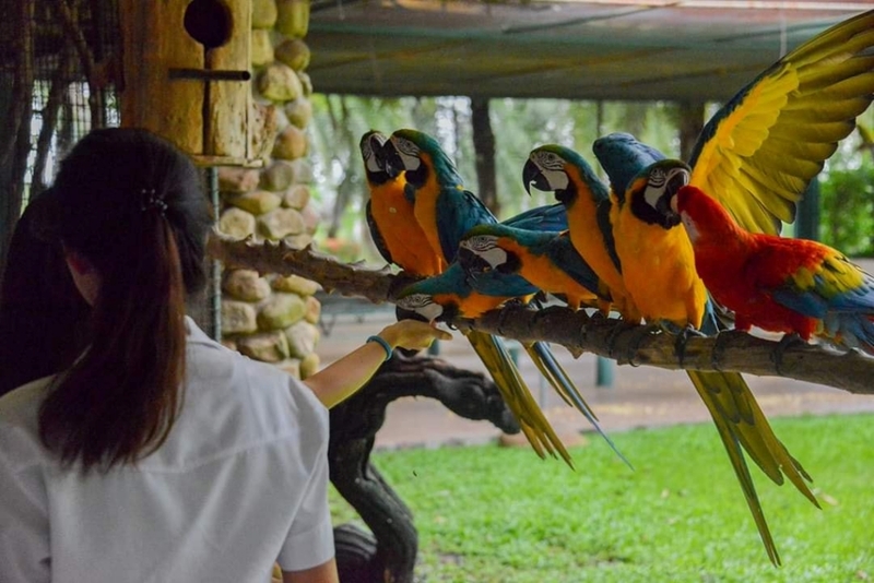 mini murrah farm, minizoo, sea walk, คุ้มวิมานดิน, ฉะเชิงเทรา, ฉะเชิงเทรา 2566, ตลาด 2 จังหวัด, ตลาดคลองสวน, ตลาดน้ำบางคล้า, ตลาดบ้านใหม่, ตลาดบ้านใหม่ 100 ปี, ตลาดบ้านใหม่ เมืองแปดริ้ว, ตลาดเก่าคลองสวน, ตลาดเก่าคลองสวน 100 ปี, ที่เที่ยวฉะเชิงเทรา, ที่เที่ยวฉะเชิงเทรา 2023, ที่เที่ยวฉะเชิงเทรา 2024, ที่เที่ยวฉะเชิงเทรา 2566, ที่เที่ยวฉะเชิงเทรา 2567, ที่เที่ยวแปดริ้ว, น้ำตกฉะเชิงเทรา, น้ำตกบ่อทราย, บ้านบางพุทรา, บ้านสวนเมล่อน, ปั้นดินเหนียวฉะเชิงเทรา, พระมหาเจดีย์สแตนเลส, พระอุโบสถแก้วกลางน้ำ, ฟาร์มนก ฉะเชิงเทรา, มินิมูร่าฟาร์ม, รังนกแลนด์ by นกแปดริ้ว, วัดกลางน้ำ, วัดปากน้ำโจ้โล้, วัดป่าเขาล้อม, วัดพระพิฆเนศองค์ใหญ่, วัดวีระโชติธรรมาราม, วัดสมานรัตนาราม, วัดหงษ์ทอง, วัดหลวงพ่อโสธร, วัดหัวสวน, วัดโพรงอากาศ, วัดโสธรวรารามวรวิหาร, สวนปาล์มฟาร์มนก, หลวงพ่อพันปีศรีตะเคียนทอง, หลวงพ่อพุทธโสธร, หลวงพ่อโสธร, องค์พระพิฆเนศปางนอนเสวยสุข, อ่างเก็บน้ำคลองสียัด, อ่างเก็บน้ำเขื่อนระบม, อ่างเก็บน้ำเขื่อนระบมทะเลน้ำจืด, อุโบสถสีทอง, อุโบสถสแตนเลส, ฮอลลีวูดบ้านนา บ้านบางพุทรา, เขื่อนคลองสียัด, เที่ยวฉะเชิงเทรา, เที่ยวฉะเชิงเทรา 2023, เที่ยวฉะเชิงเทรา 2024, เที่ยวฉะเชิงเทรา 2567, เที่ยวแปดริ้ว, แปดริ้ว, top 20+ ที่เที่ยวฉะเชิงเทรา [กรกฎาคม 2024] เที่ยววัด ชมธรรมชาติ เดินตลาด เมืองแปดริ้ว