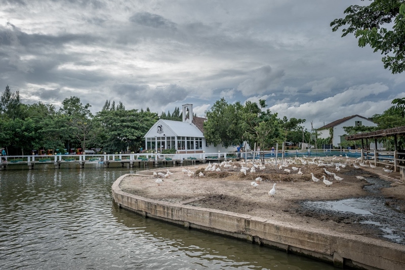 mini murrah farm, minizoo, sea walk, คุ้มวิมานดิน, ฉะเชิงเทรา, ฉะเชิงเทรา 2566, ตลาด 2 จังหวัด, ตลาดคลองสวน, ตลาดน้ำบางคล้า, ตลาดบ้านใหม่, ตลาดบ้านใหม่ 100 ปี, ตลาดบ้านใหม่ เมืองแปดริ้ว, ตลาดเก่าคลองสวน, ตลาดเก่าคลองสวน 100 ปี, ที่เที่ยวฉะเชิงเทรา, ที่เที่ยวฉะเชิงเทรา 2023, ที่เที่ยวฉะเชิงเทรา 2024, ที่เที่ยวฉะเชิงเทรา 2566, ที่เที่ยวฉะเชิงเทรา 2567, ที่เที่ยวแปดริ้ว, น้ำตกฉะเชิงเทรา, น้ำตกบ่อทราย, บ้านบางพุทรา, บ้านสวนเมล่อน, ปั้นดินเหนียวฉะเชิงเทรา, พระมหาเจดีย์สแตนเลส, พระอุโบสถแก้วกลางน้ำ, ฟาร์มนก ฉะเชิงเทรา, มินิมูร่าฟาร์ม, รังนกแลนด์ by นกแปดริ้ว, วัดกลางน้ำ, วัดปากน้ำโจ้โล้, วัดป่าเขาล้อม, วัดพระพิฆเนศองค์ใหญ่, วัดวีระโชติธรรมาราม, วัดสมานรัตนาราม, วัดหงษ์ทอง, วัดหลวงพ่อโสธร, วัดหัวสวน, วัดโพรงอากาศ, วัดโสธรวรารามวรวิหาร, สวนปาล์มฟาร์มนก, หลวงพ่อพันปีศรีตะเคียนทอง, หลวงพ่อพุทธโสธร, หลวงพ่อโสธร, องค์พระพิฆเนศปางนอนเสวยสุข, อ่างเก็บน้ำคลองสียัด, อ่างเก็บน้ำเขื่อนระบม, อ่างเก็บน้ำเขื่อนระบมทะเลน้ำจืด, อุโบสถสีทอง, อุโบสถสแตนเลส, ฮอลลีวูดบ้านนา บ้านบางพุทรา, เขื่อนคลองสียัด, เที่ยวฉะเชิงเทรา, เที่ยวฉะเชิงเทรา 2023, เที่ยวฉะเชิงเทรา 2024, เที่ยวฉะเชิงเทรา 2567, เที่ยวแปดริ้ว, แปดริ้ว, top 20+ ที่เที่ยวฉะเชิงเทรา [กรกฎาคม 2024] เที่ยววัด ชมธรรมชาติ เดินตลาด เมืองแปดริ้ว