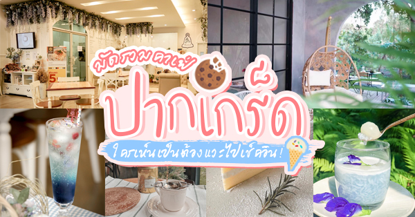 Hansacafe.food.garden, BECX, Plantnery Green Caf&eacute;, Langbaan cafe&amp;chill, ฉลู คาเฟ่, Mom&rsquo;s Veggie Cafe, Farmily a cafe in farm, Another Home Cafe, Me Long Cafe, ร.เรือตัวอ้วน, Slot Co-Working Space, Mitte Coffee, Mita Coffee and Art, Bluebell Caf&eacute;, Top 15+ ร้านคาเฟ่ย่านปากเกร็ด ใครเห็นเป็นต้องแวะไปเช็คอิน