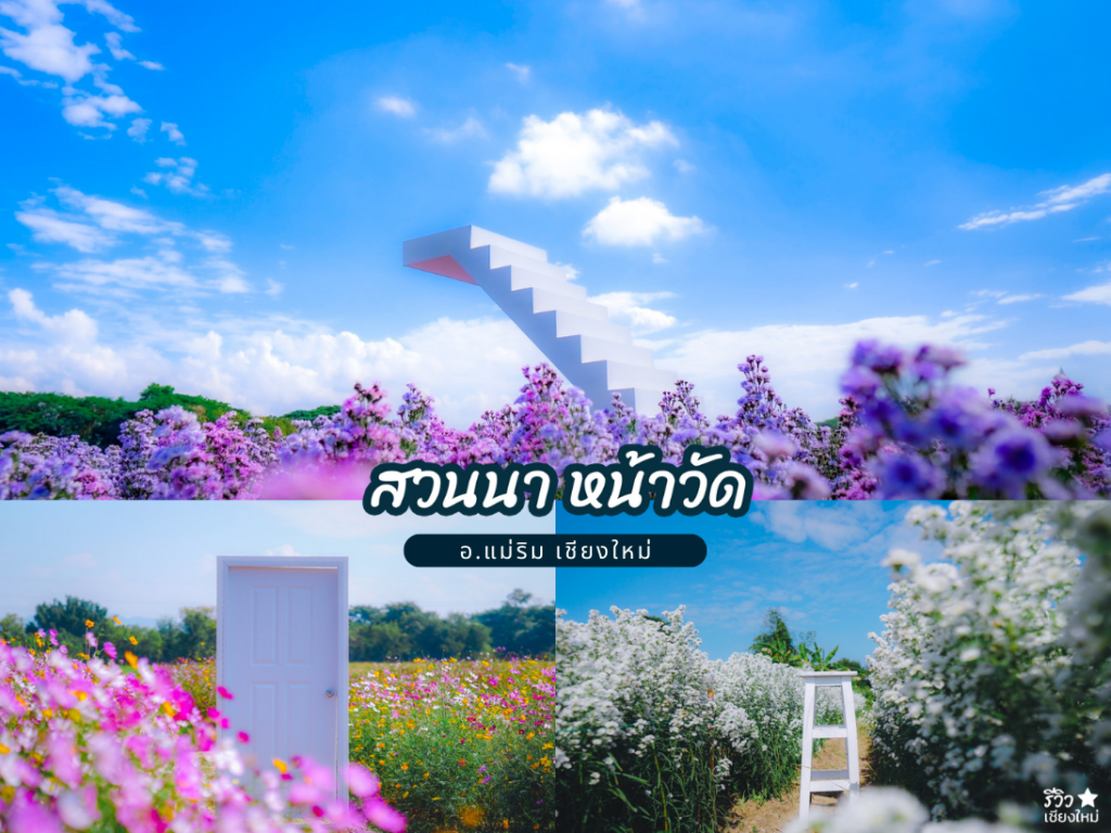 แจกพิกัด 8 สวนดอกไม้ในเชียงใหม่ ถ่ายรูปปังรับลมหนาว