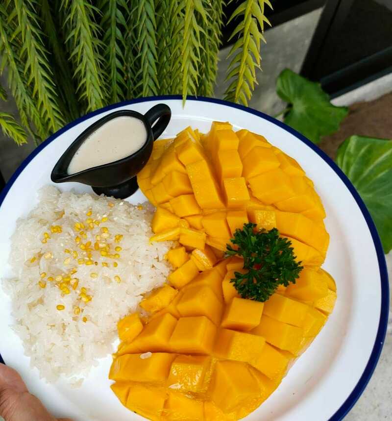 คาเฟ่ภูเก็ต : รวมคาเฟ่ในจังหวัดภูเก็ต เด็ดทั้งร้านบรรยากาศดี กาแฟเลิศ!