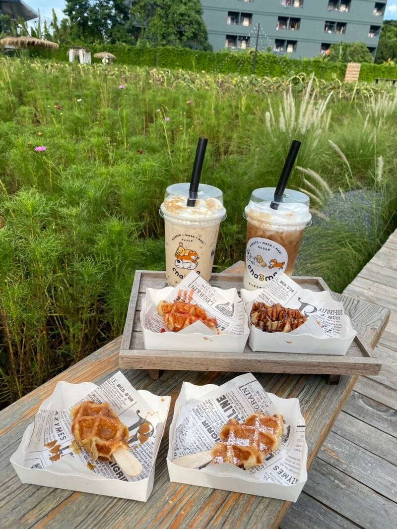 top 17+ ร้านชานมไข่มุกทั่วกทม. เคี้ยวอร่อย ยิ่งดูดยิ่งเลิฟ