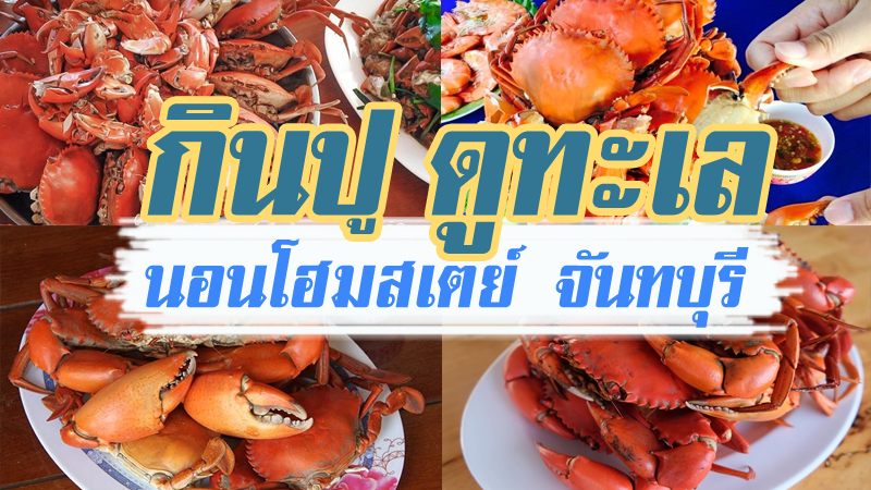 จันทบุรี, top 9+ โฮมสเตย์จันทบุรี 2567 ที่พัก กินปู พร้อมกิจกรรม อิ่มอร่อยได้ไม่อั้น