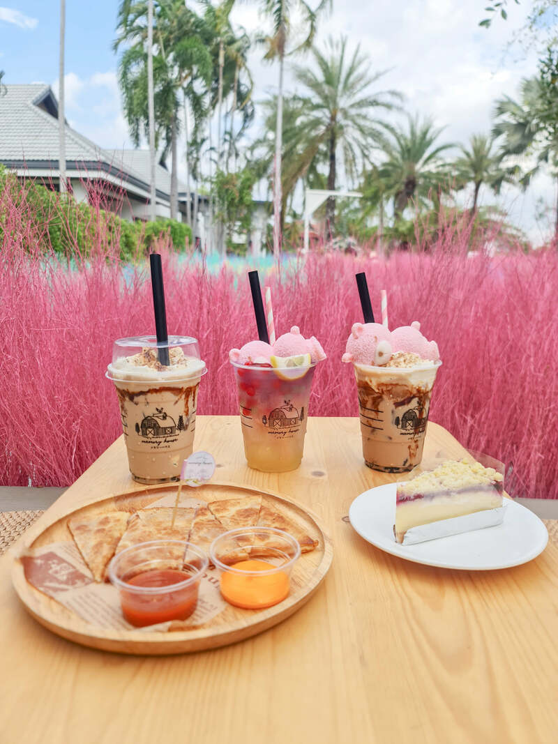 top 19+ คาเฟ่สามพราน บรรยากาศชิลๆ น่าถ่ายรูป @นครปฐม