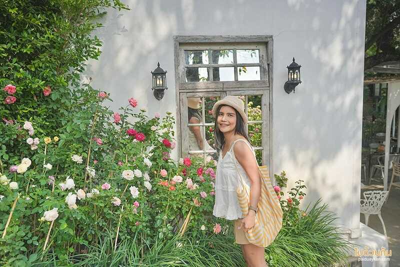 Fleur cafe คาเฟ่แม่ริม ในสวนสไตล์ยุโรป ดอกกุหลาบสวยมาก