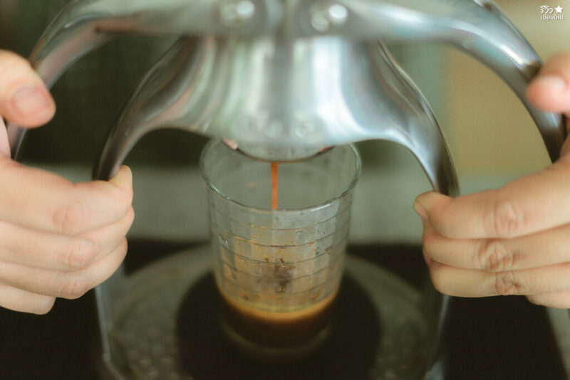 คาเฟ่เชียงใหม่, ช้างไทย, ที่เที่ยว เชียงใหม่, ที่เที่ยวเชียงใหม่, เปิดร้านคาเฟ่ เพื่อเลี้ยงน้องช้าง elely cafe mae ping bistro