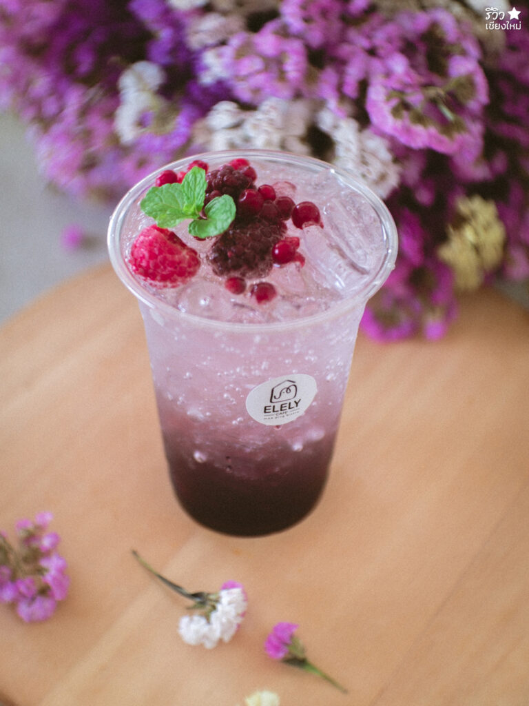 คาเฟ่เชียงใหม่, ช้างไทย, ที่เที่ยว เชียงใหม่, ที่เที่ยวเชียงใหม่, เปิดร้านคาเฟ่ เพื่อเลี้ยงน้องช้าง elely cafe mae ping bistro