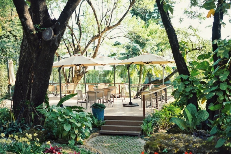 12 feb homey cafe, carp cafe, casa lapin, chez nous, claai cafe&039;& eatery, cypress lanes, early owls, fleur cafe & eatery, gūzen cafe, jinju the orange farm, nern noom cafe, on fleek cafe, on the rock at namphrae, phli, phli : ผลิ 봄 at dollaya, rachel coffee and community, robert bake & brunch, teddu coffee, versailles de flore cafe, wtf coffee camp, กุเซนคาเฟ่, คลาย คาเฟ่แอนด์อีทเทอรี่, คาเฟ่ ใกล้ฉัน, คาเฟ่เชียงใหม่, คาเฟ่เชียงใหม่ 2023, คาเฟ่เชียงใหม่ 2566, คาเฟ่เชียงใหม่ ธรรมชาติ, คาเฟ่เชียงใหม่ นอกเมือง, คาเฟ่เชียงใหม่ นิมมาน, คาเฟ่เชียงใหม่ หางดง, คาเฟ่เชียงใหม่ เปิดใหม่, คาเฟ่เชียงใหม่ ในเมือง, คาเฟ่ใกล้ฉัน, ปางแฟน rock n&039; river, สวนส้มจินจู, สุขพอดี, สุขพอดี simply happy, ออน เดอะ ร็อค คาเฟ่, เชนู คาเฟ่, เนินนุ่ม คาเฟ่, เออร์ลี่ อาวส์, แดนเทวดา, แวร์ซายเดอฟลอเร่, top 20+ คาเฟ่เชียงใหม่ [กรกฎาคม 2024] อัดแน่นทั่วจังหวัด ออกนอกเมือง แต่สวยได้ฟีลเมืองนอกสุด ๆ