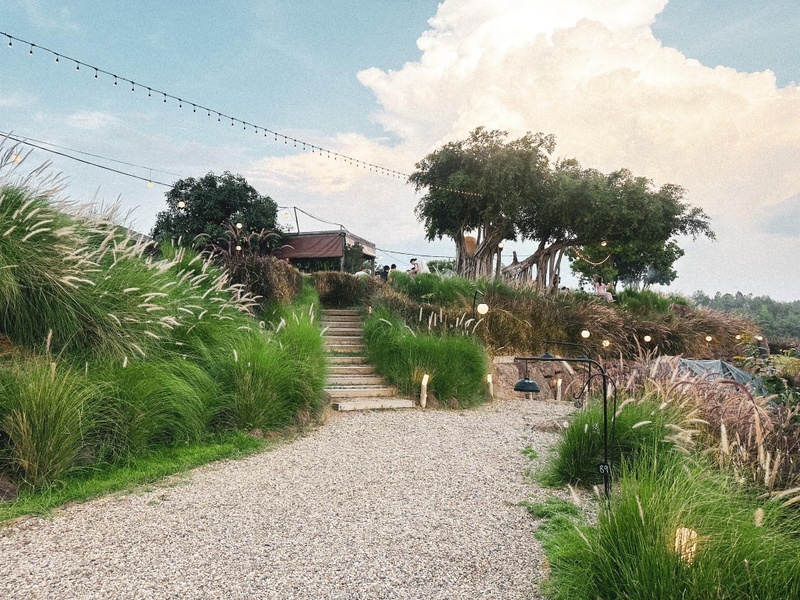 12 feb homey cafe, carp cafe, casa lapin, chez nous, claai cafe&039;& eatery, cypress lanes, early owls, fleur cafe & eatery, gūzen cafe, jinju the orange farm, nern noom cafe, on fleek cafe, on the rock at namphrae, phli, phli : ผลิ 봄 at dollaya, rachel coffee and community, robert bake & brunch, teddu coffee, versailles de flore cafe, wtf coffee camp, กุเซนคาเฟ่, คลาย คาเฟ่แอนด์อีทเทอรี่, คาเฟ่ ใกล้ฉัน, คาเฟ่เชียงใหม่, คาเฟ่เชียงใหม่ 2023, คาเฟ่เชียงใหม่ 2566, คาเฟ่เชียงใหม่ ธรรมชาติ, คาเฟ่เชียงใหม่ นอกเมือง, คาเฟ่เชียงใหม่ นิมมาน, คาเฟ่เชียงใหม่ หางดง, คาเฟ่เชียงใหม่ เปิดใหม่, คาเฟ่เชียงใหม่ ในเมือง, คาเฟ่ใกล้ฉัน, ปางแฟน rock n&039; river, สวนส้มจินจู, สุขพอดี, สุขพอดี simply happy, ออน เดอะ ร็อค คาเฟ่, เชนู คาเฟ่, เนินนุ่ม คาเฟ่, เออร์ลี่ อาวส์, แดนเทวดา, แวร์ซายเดอฟลอเร่, top 20+ คาเฟ่เชียงใหม่ [กรกฎาคม 2024] อัดแน่นทั่วจังหวัด ออกนอกเมือง แต่สวยได้ฟีลเมืองนอกสุด ๆ