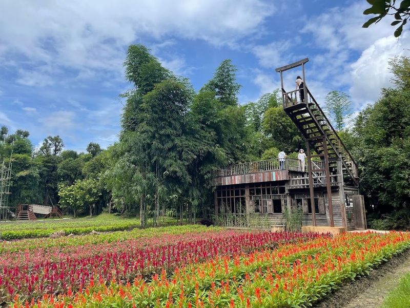 12 feb homey cafe, carp cafe, casa lapin, chez nous, claai cafe&039;& eatery, cypress lanes, early owls, fleur cafe & eatery, gūzen cafe, jinju the orange farm, nern noom cafe, on fleek cafe, on the rock at namphrae, phli, phli : ผลิ 봄 at dollaya, rachel coffee and community, robert bake & brunch, teddu coffee, versailles de flore cafe, wtf coffee camp, กุเซนคาเฟ่, คลาย คาเฟ่แอนด์อีทเทอรี่, คาเฟ่ ใกล้ฉัน, คาเฟ่เชียงใหม่, คาเฟ่เชียงใหม่ 2023, คาเฟ่เชียงใหม่ 2566, คาเฟ่เชียงใหม่ ธรรมชาติ, คาเฟ่เชียงใหม่ นอกเมือง, คาเฟ่เชียงใหม่ นิมมาน, คาเฟ่เชียงใหม่ หางดง, คาเฟ่เชียงใหม่ เปิดใหม่, คาเฟ่เชียงใหม่ ในเมือง, คาเฟ่ใกล้ฉัน, ปางแฟน rock n&039; river, สวนส้มจินจู, สุขพอดี, สุขพอดี simply happy, ออน เดอะ ร็อค คาเฟ่, เชนู คาเฟ่, เนินนุ่ม คาเฟ่, เออร์ลี่ อาวส์, แดนเทวดา, แวร์ซายเดอฟลอเร่, top 20+ คาเฟ่เชียงใหม่ [กรกฎาคม 2024] อัดแน่นทั่วจังหวัด ออกนอกเมือง แต่สวยได้ฟีลเมืองนอกสุด ๆ