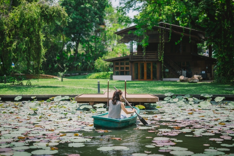 12 feb homey cafe, carp cafe, casa lapin, chez nous, claai cafe&039;& eatery, cypress lanes, early owls, fleur cafe & eatery, gūzen cafe, jinju the orange farm, nern noom cafe, on fleek cafe, on the rock at namphrae, phli, phli : ผลิ 봄 at dollaya, rachel coffee and community, robert bake & brunch, teddu coffee, versailles de flore cafe, wtf coffee camp, กุเซนคาเฟ่, คลาย คาเฟ่แอนด์อีทเทอรี่, คาเฟ่ ใกล้ฉัน, คาเฟ่เชียงใหม่, คาเฟ่เชียงใหม่ 2023, คาเฟ่เชียงใหม่ 2566, คาเฟ่เชียงใหม่ ธรรมชาติ, คาเฟ่เชียงใหม่ นอกเมือง, คาเฟ่เชียงใหม่ นิมมาน, คาเฟ่เชียงใหม่ หางดง, คาเฟ่เชียงใหม่ เปิดใหม่, คาเฟ่เชียงใหม่ ในเมือง, คาเฟ่ใกล้ฉัน, ปางแฟน rock n&039; river, สวนส้มจินจู, สุขพอดี, สุขพอดี simply happy, ออน เดอะ ร็อค คาเฟ่, เชนู คาเฟ่, เนินนุ่ม คาเฟ่, เออร์ลี่ อาวส์, แดนเทวดา, แวร์ซายเดอฟลอเร่, top 20+ คาเฟ่เชียงใหม่ [กรกฎาคม 2024] อัดแน่นทั่วจังหวัด ออกนอกเมือง แต่สวยได้ฟีลเมืองนอกสุด ๆ