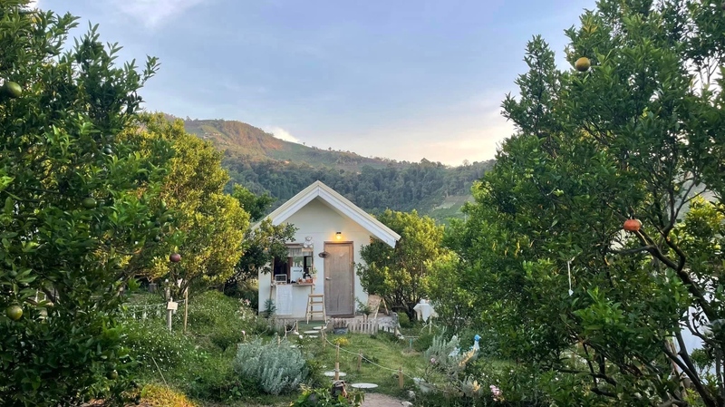 12 feb homey cafe, carp cafe, casa lapin, chez nous, claai cafe&039;& eatery, cypress lanes, early owls, fleur cafe & eatery, gūzen cafe, jinju the orange farm, nern noom cafe, on fleek cafe, on the rock at namphrae, phli, phli : ผลิ 봄 at dollaya, rachel coffee and community, robert bake & brunch, teddu coffee, versailles de flore cafe, wtf coffee camp, กุเซนคาเฟ่, คลาย คาเฟ่แอนด์อีทเทอรี่, คาเฟ่ ใกล้ฉัน, คาเฟ่เชียงใหม่, คาเฟ่เชียงใหม่ 2023, คาเฟ่เชียงใหม่ 2566, คาเฟ่เชียงใหม่ ธรรมชาติ, คาเฟ่เชียงใหม่ นอกเมือง, คาเฟ่เชียงใหม่ นิมมาน, คาเฟ่เชียงใหม่ หางดง, คาเฟ่เชียงใหม่ เปิดใหม่, คาเฟ่เชียงใหม่ ในเมือง, คาเฟ่ใกล้ฉัน, ปางแฟน rock n&039; river, สวนส้มจินจู, สุขพอดี, สุขพอดี simply happy, ออน เดอะ ร็อค คาเฟ่, เชนู คาเฟ่, เนินนุ่ม คาเฟ่, เออร์ลี่ อาวส์, แดนเทวดา, แวร์ซายเดอฟลอเร่, top 20+ คาเฟ่เชียงใหม่ [กรกฎาคม 2024] อัดแน่นทั่วจังหวัด ออกนอกเมือง แต่สวยได้ฟีลเมืองนอกสุด ๆ