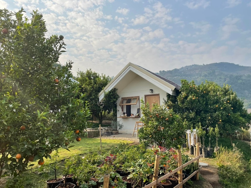 12 feb homey cafe, carp cafe, casa lapin, chez nous, claai cafe&039;& eatery, cypress lanes, early owls, fleur cafe & eatery, gūzen cafe, jinju the orange farm, nern noom cafe, on fleek cafe, on the rock at namphrae, phli, phli : ผลิ 봄 at dollaya, rachel coffee and community, robert bake & brunch, teddu coffee, versailles de flore cafe, wtf coffee camp, กุเซนคาเฟ่, คลาย คาเฟ่แอนด์อีทเทอรี่, คาเฟ่ ใกล้ฉัน, คาเฟ่เชียงใหม่, คาเฟ่เชียงใหม่ 2023, คาเฟ่เชียงใหม่ 2566, คาเฟ่เชียงใหม่ ธรรมชาติ, คาเฟ่เชียงใหม่ นอกเมือง, คาเฟ่เชียงใหม่ นิมมาน, คาเฟ่เชียงใหม่ หางดง, คาเฟ่เชียงใหม่ เปิดใหม่, คาเฟ่เชียงใหม่ ในเมือง, คาเฟ่ใกล้ฉัน, ปางแฟน rock n&039; river, สวนส้มจินจู, สุขพอดี, สุขพอดี simply happy, ออน เดอะ ร็อค คาเฟ่, เชนู คาเฟ่, เนินนุ่ม คาเฟ่, เออร์ลี่ อาวส์, แดนเทวดา, แวร์ซายเดอฟลอเร่, top 20+ คาเฟ่เชียงใหม่ [กรกฎาคม 2024] อัดแน่นทั่วจังหวัด ออกนอกเมือง แต่สวยได้ฟีลเมืองนอกสุด ๆ