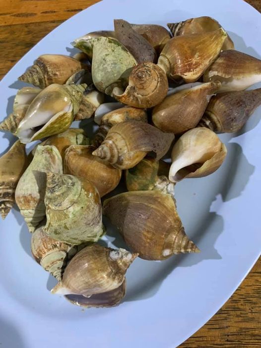 ร้านอาหารเด็ดภูเก็ตหรอยอย่างแรงนิ! มีเมนูพื้นบ้านภาคใต้เพียบ