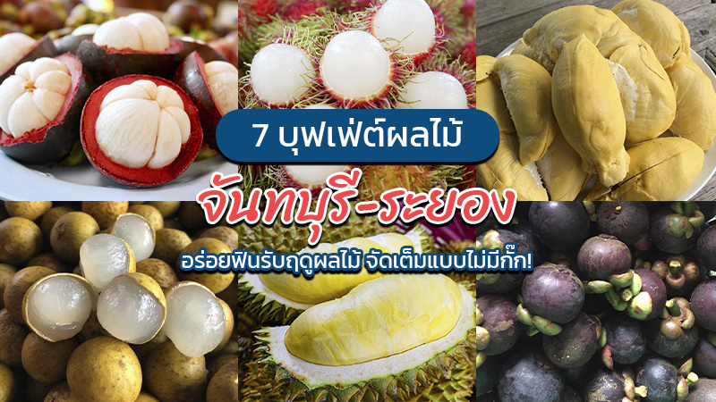 1. สวนสุภัทราแลนด์, 2. สวนละไม, 3. สวนเค พี การ์เด้น, 4. สวนทุเรียนแลนด์, 5. สวนพวงมณี, 6. สวนโถทอง, 7. สวนบ้านเรา, Top 7+ บุฟเฟ่ต์ผลไม้ จันทบุรี ระยอง 2567 อร่อยฟินรับฤดูผลไม้ แบบจัดเต็ม
