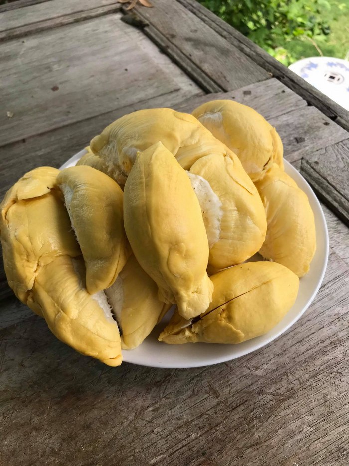 ระยอง, top 7+ บุฟเฟ่ต์ผลไม้ จันทบุรี ระยอง 2567 อร่อยฟินรับฤดูผลไม้ แบบจัดเต็ม