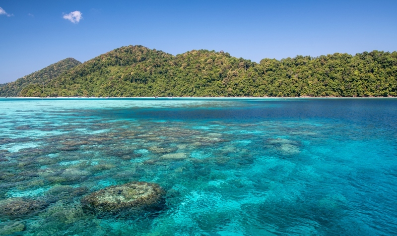 andaman view point phangnga, memories beach bar, กองหินริเชลิว, จุดชมวิว 360 องศา, จุดชมวิวของเสม็ดนางชีบูติค, จุดชมวิวเสม็ดนางชี, ชาวมอแกน, ที่เที่ยวพังงา, ที่เที่ยวพังงา 2024, ที่เที่ยวพังงา 2567, น้ำตกลำปี, ประภาคารเขาหลัก, ปันหยี, พังงา, พังงา 2024, พังงา 2567, ล่องแพไม้ไผ่วังเคียงคู่, วัดถ้ำ พังงา, วัดถ้ำสุวรรณคูหา, วัดสุวรรณคูหา, สวนน้ำจุดชมวิว 360 องศา, สะพานไม้เขาปิหลาย, สันหลังมังกร พังงา, หมู่บ้านมอแกน, หมู่เกาะสิมิลัน, หมู่เกาะสุรินทร์, หาดทรายดำ เขาหลัก, หาดทรายสีดำ, หาดนางทอง, หาดเขาปิหลาย, หินเรือใบ, อ่าวพังงา, อุทยานแห่งชาติหมู่เกาะสิมิลัน, อุทยานแห่งชาติอ่าวพังงา, เกาะปะการัง, เกาะปันหยี, เกาะยาว, เกาะยาวน้อย, เกาะยาวใหญ่, เกาะสิมิลัน, เกาะสุรินทร์เหนือ, เกาะสุรินทร์ใต้, เกาะเจมส์บอนด์, เกาะแปด, เขาตะปู, เขาตาปู, เขาพิงกัน, เที่ยวพังงา, เที่ยวพังงา 2024, เที่ยวพังงา 2567, เมโมรี่บีชบาร์, เสม็ดนางชี, top 15+ ที่เที่ยวพังงา [กรกฎาคม 2024] เมืองแห่งเกาะสวยงาม ความอุดมสมบูรณ์ทางทะเลที่ไม่ควรพลาด