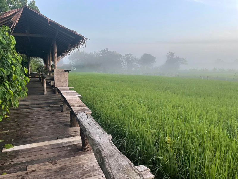คาเฟ่พัทลุง, ร้านกาแฟพัทลุง, เที่ยวพัทลุง, top 15+ คาเฟ่พัทลุง นั่งจิบเครื่องดื่ม ถ่ายรูปชิค