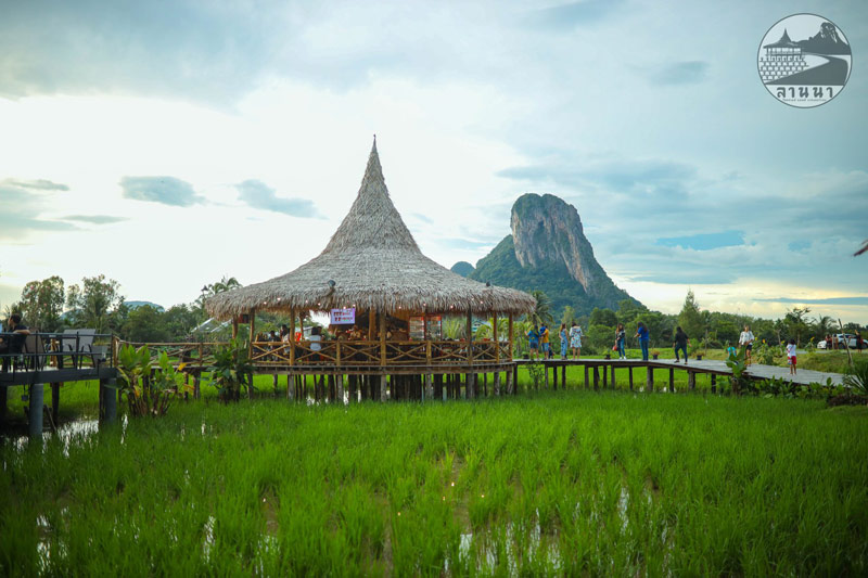 คาเฟ่พัทลุง, ร้านกาแฟพัทลุง, เที่ยวพัทลุง, top 15+ คาเฟ่พัทลุง นั่งจิบเครื่องดื่ม ถ่ายรูปชิค