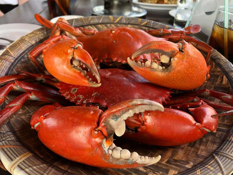 top 8+ ร้านอาหารติดทะเลหาดจอมเทียน พัทยา พิกัดใกล้กรุงเทพฯ ต้องมา!!!