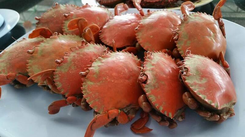 ร้านอาหารทะเลตราด สดฉ่ำสุดฟิน เตรียมไปเช็คอินความอร่อย