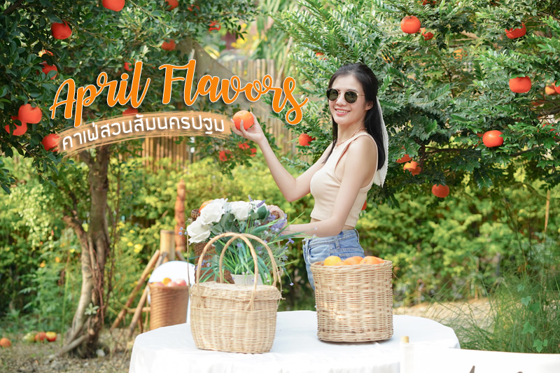 April Flavors  คาเฟ่สวนส้มสุดคิวท์