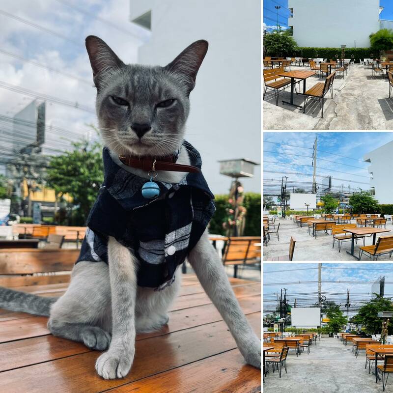 ร้านข้าวต้ม พัทยา : รวมร้านข้าวต้มเจ้าเด็ด เจ้าดัง ขาประจำพัทยาต้องรู็จัก! (พิกัด พัทยา-ชลบุรี)