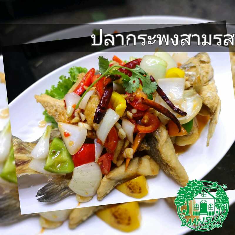 ร้านอาหารในสวน บรรยากาศดีในกรุงเทพ นั่งชิลได้ทั้งกลุ่มเพื่อนและครอบครัว
