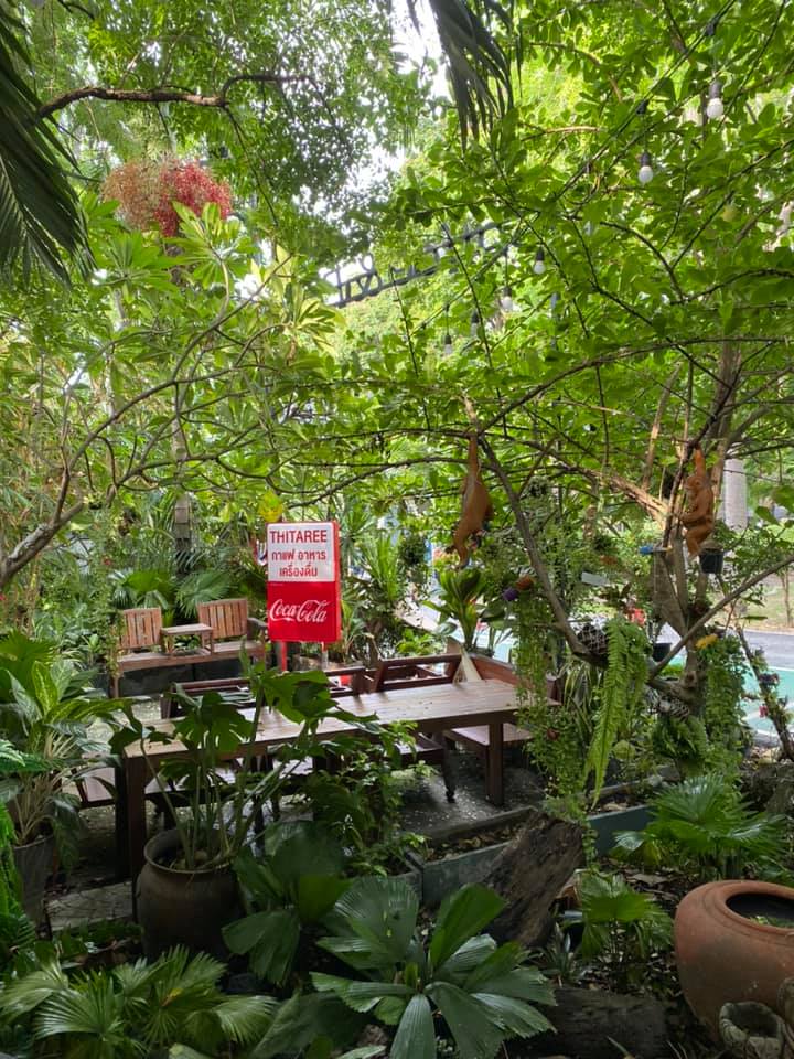 ร้านอาหารในสวน บรรยากาศดีในกรุงเทพ นั่งชิลได้ทั้งกลุ่มเพื่อนและครอบครัว