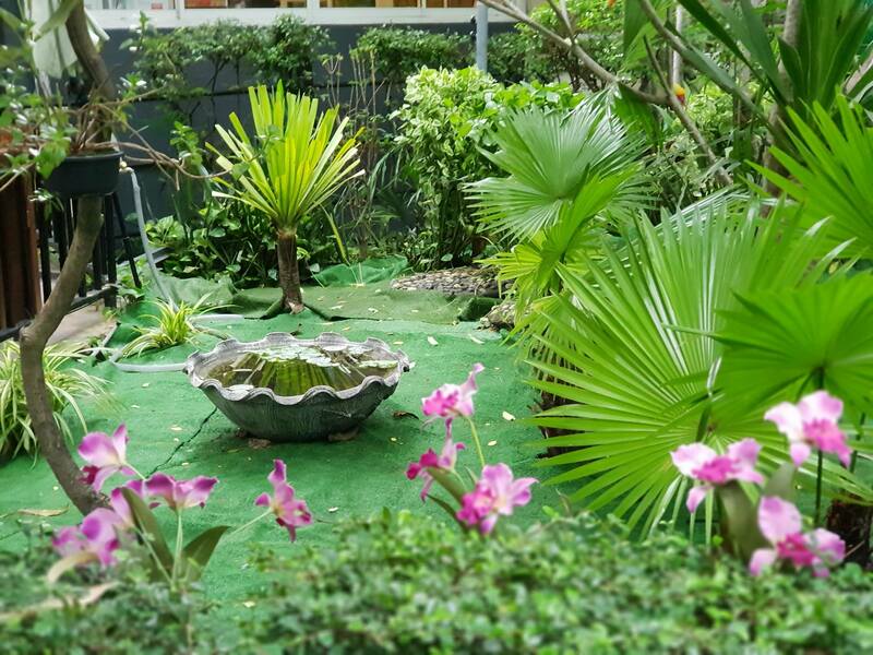 ร้านอาหารในสวน บรรยากาศดีในกรุงเทพ นั่งชิลได้ทั้งกลุ่มเพื่อนและครอบครัว