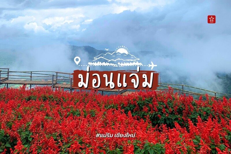 กรุงเทพไปเชียงใหม่, จองตั๋วเครื่องบิน, ดอยอ่างขาง, ตั๋วเครื่องบินไปเชียงใหม่, ม่อนแจ่ม, อุทยานแห่งชาติดอยอินทนนท์, เที่ยวเชียงใหม่, พิกัดที่ต้องปักหมุดก่อนจองตั๋วเครื่องบินไปเชียงใหม่!